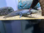 サンシャイン水族館に投稿された画像（2024/3/11）