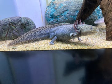 サンシャイン水族館に投稿された画像（2024/3/11）