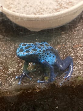 サンシャイン水族館に投稿された画像（2024/3/11）