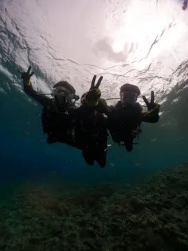 武藤潜水に投稿された画像（2024/3/11）