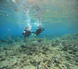 沖縄マリンサービス碧に投稿された画像（2024/3/11）