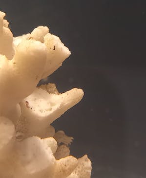 しながわ水族館に投稿された画像（2024/3/11）