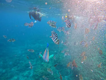 武藤潜水に投稿された画像（2024/3/11）