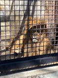 宇都宮動物園に投稿された画像（2024/3/11）
