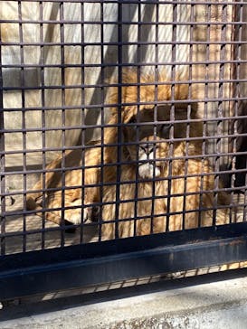 宇都宮動物園に投稿された画像（2024/3/11）