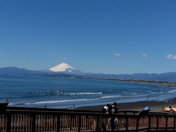 新江ノ島水族館に投稿された画像（2024/3/11）