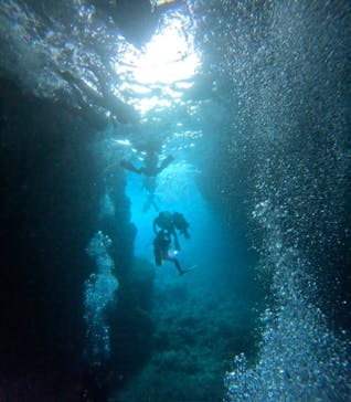 沖縄マリンサービス碧に投稿された画像（2024/3/11）