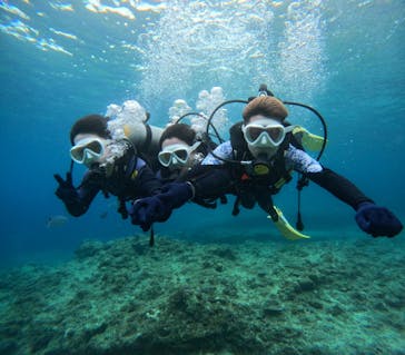 沖縄マリンサービス碧に投稿された画像（2024/3/11）