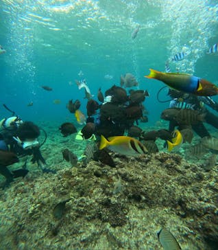 沖縄マリンサービス碧に投稿された画像（2024/3/11）