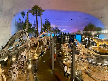 福井県立恐竜博物館に投稿された画像（2024/3/11）