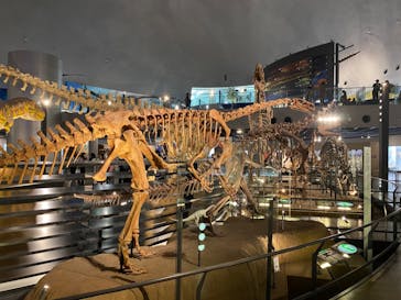 福井県立恐竜博物館に投稿された画像（2024/3/11）