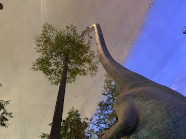 福井県立恐竜博物館に投稿された画像（2024/3/11）