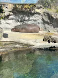 天王寺動物園に投稿された画像（2024/3/11）