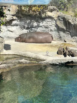 天王寺動物園に投稿された画像（2024/3/11）