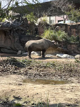 天王寺動物園に投稿された画像（2024/3/11）