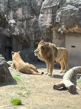 天王寺動物園に投稿された画像（2024/3/11）