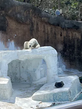 天王寺動物園に投稿された画像（2024/3/11）