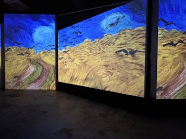 ゴッホ・アライブに投稿された画像（2024/3/11）