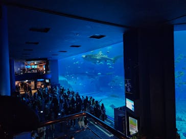 沖縄美ら海水族館に投稿された画像（2024/3/11）