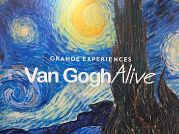 ゴッホ・アライブに投稿された画像（2024/3/11）