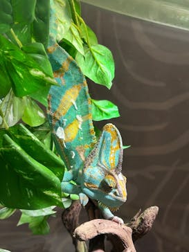 NIFREL（ニフレル）に投稿された画像（2024/3/11）