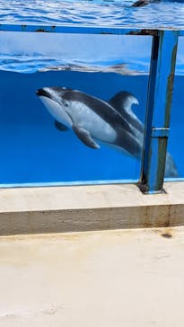 登別マリンパークニクスに投稿された画像（2024/3/11）