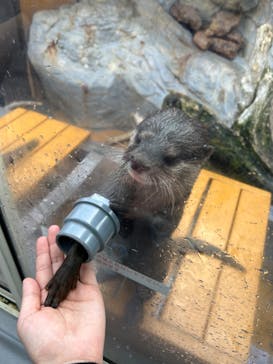 マクセル アクアパーク品川に投稿された画像（2024/3/11）