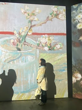 ゴッホ・アライブに投稿された画像（2024/3/11）