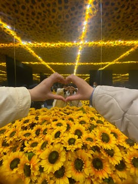 ゴッホ・アライブに投稿された画像（2024/3/11）