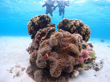 CHAMP TOUR　宮古島に投稿された画像（2024/3/11）