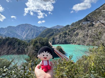 大井川鐵道株式会社に投稿された画像（2024/3/11）