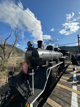 大井川鐵道株式会社に投稿された画像（2024/3/11）