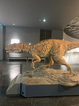 福井県立恐竜博物館に投稿された画像（2024/3/11）