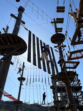 ニジゲンノモリに投稿された画像（2024/3/11）