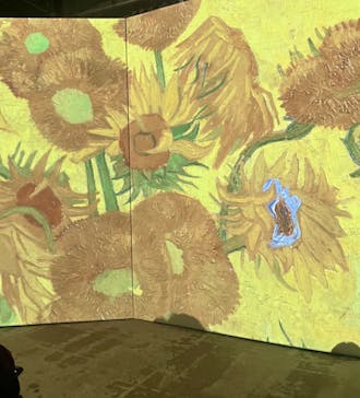 ゴッホ・アライブに投稿された画像（2024/3/11）