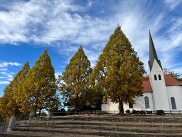 野外民族博物館 リトルワールドに投稿された画像（2024/3/11）