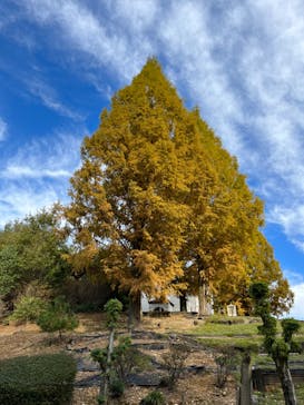 野外民族博物館 リトルワールドに投稿された画像（2024/3/11）