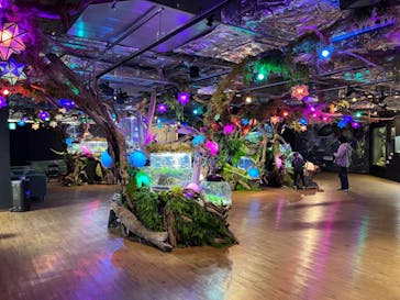 NARA IKIMONO MUSEUMに投稿された画像（2024/3/11）