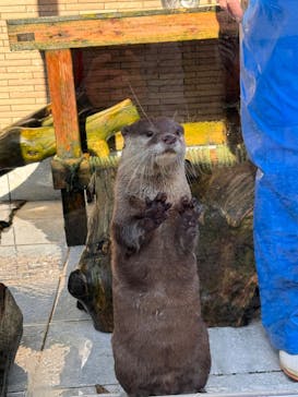 下田海中水族館に投稿された画像（2024/3/11）