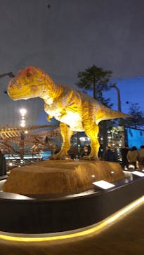 福井県立恐竜博物館に投稿された画像（2024/3/11）