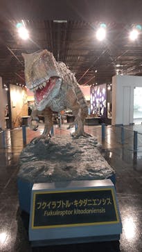 福井県立恐竜博物館に投稿された画像（2024/3/11）