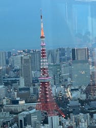 六本木ヒルズ展望台 東京シティビューに投稿された画像（2024/3/11）