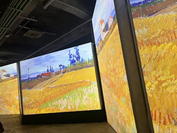 ゴッホ・アライブに投稿された画像（2024/3/11）