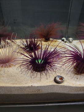 AOAO SAPPOROに投稿された画像（2024/3/11）