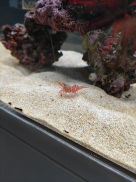 AOAO SAPPOROに投稿された画像（2024/3/11）