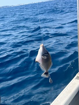 らいおん丸に投稿された画像（2024/3/11）