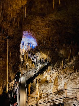 おきなわワールドに投稿された画像（2024/3/11）