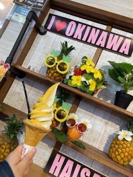 おきなわワールドに投稿された画像（2024/3/11）