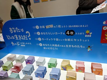 NIFREL（ニフレル）に投稿された画像（2024/3/11）