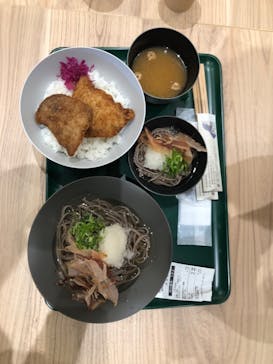 福井県立恐竜博物館に投稿された画像（2024/3/11）